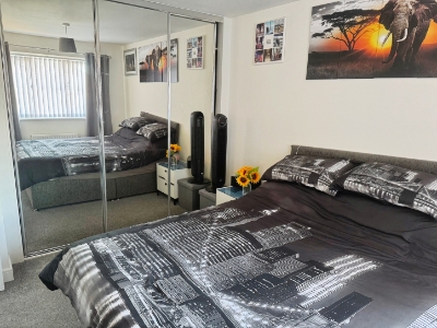 Picture 7